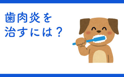 歯肉炎を治すには？