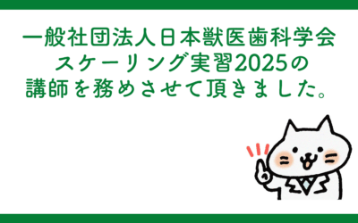 一般社団法人日本獣医歯科学会スケーリング実習2025の講師を務めさせて頂きました。